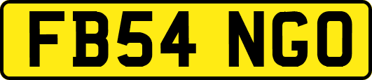 FB54NGO
