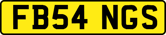 FB54NGS