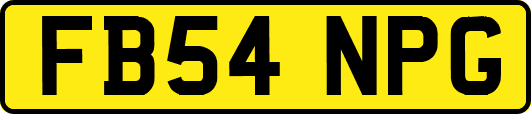 FB54NPG