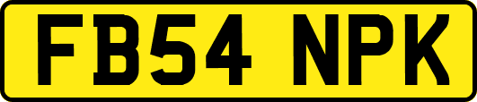 FB54NPK