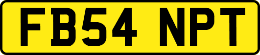 FB54NPT