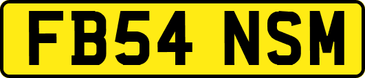 FB54NSM