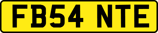 FB54NTE