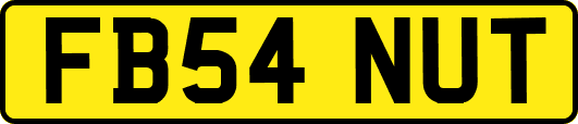 FB54NUT