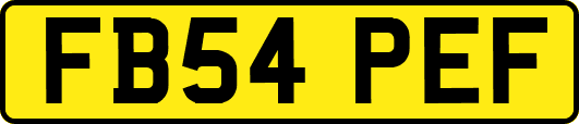 FB54PEF