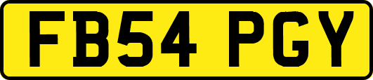 FB54PGY