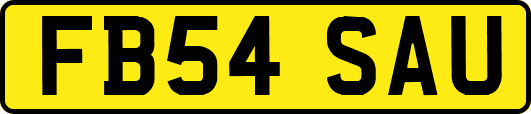 FB54SAU