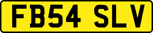 FB54SLV