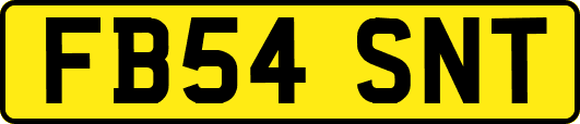 FB54SNT