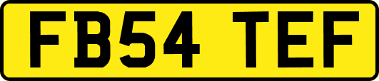 FB54TEF
