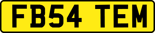 FB54TEM