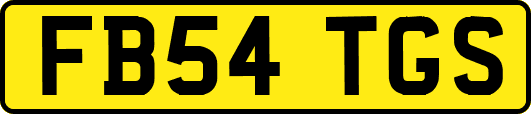 FB54TGS