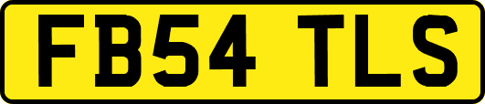 FB54TLS