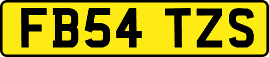 FB54TZS