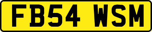 FB54WSM