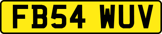 FB54WUV