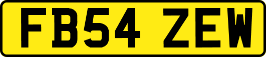 FB54ZEW