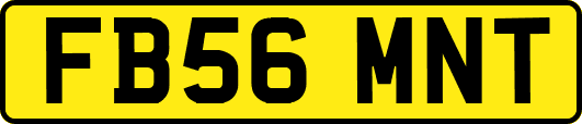 FB56MNT