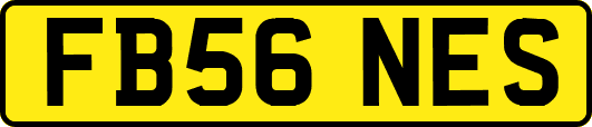 FB56NES
