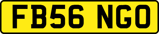 FB56NGO