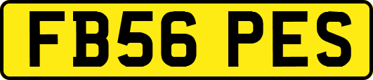 FB56PES