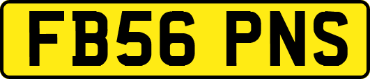 FB56PNS