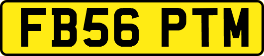 FB56PTM