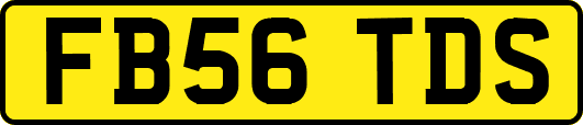 FB56TDS
