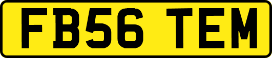 FB56TEM