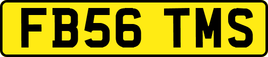 FB56TMS