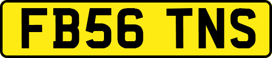 FB56TNS