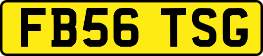 FB56TSG
