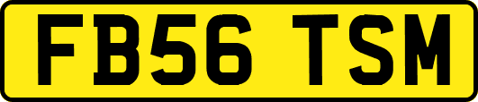 FB56TSM