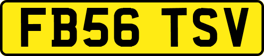 FB56TSV