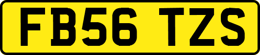 FB56TZS