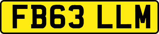 FB63LLM