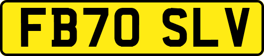 FB70SLV