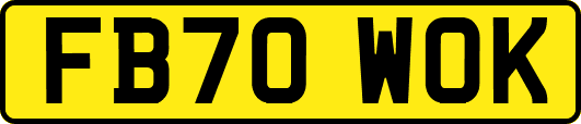 FB70WOK