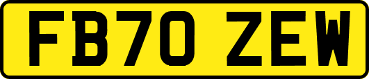 FB70ZEW