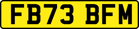 FB73BFM