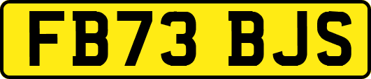 FB73BJS