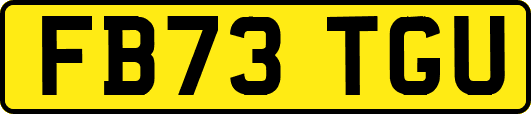 FB73TGU
