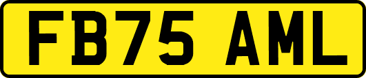 FB75AML
