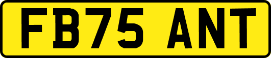 FB75ANT
