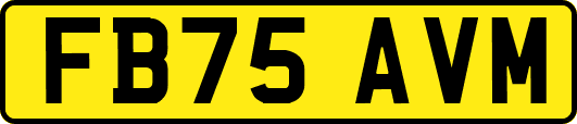 FB75AVM