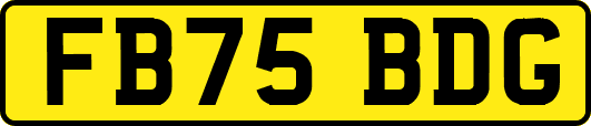 FB75BDG