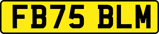 FB75BLM
