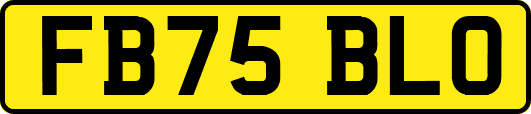 FB75BLO