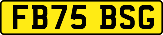 FB75BSG