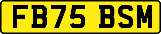 FB75BSM